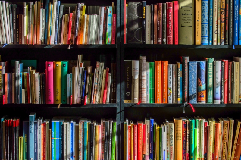 vente-LE CASTELLET-min_books_bookstore_book_reading_shop_writer_sale_books_read-822866